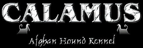 CALAMUS